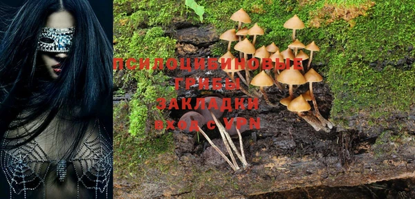 прущие крисы Приозерск