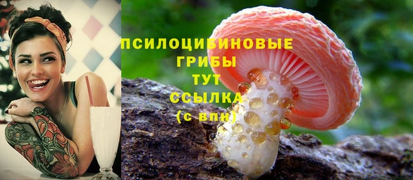 MDMA Premium VHQ Воткинск