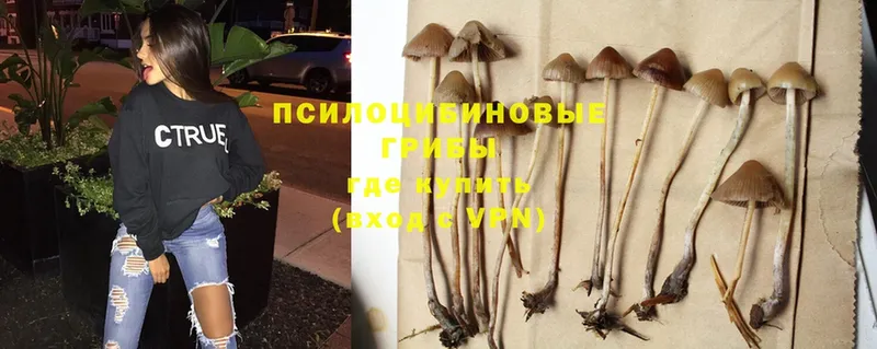 hydra ONION  как найти   Абаза  Галлюциногенные грибы Psilocybine cubensis 