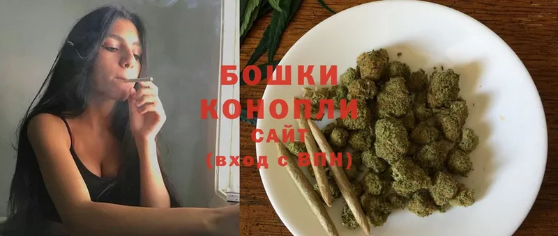 Бошки Шишки ГИДРОПОН  Абаза 